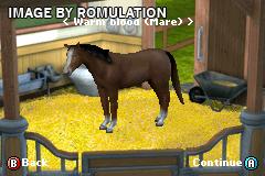 Let's Ride! - Friends Forever for GBA screenshot