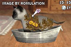 Paws & Claws - Best Friends - Dogs & Cats for GBA screenshot