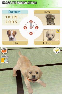 Nintendogs - Labrador & Friends for NDS screenshot