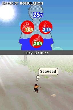 Lost in Blue for NDS screenshot