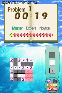 Brain Buster - Puzzle Pak for NDS screenshot