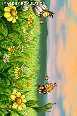 Bee Game, The for NDS screenshot
