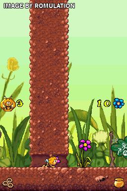 Bee Game, The for NDS screenshot