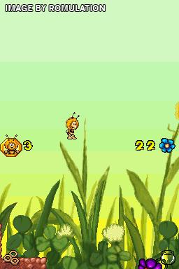Bee Game, The for NDS screenshot
