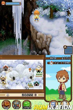 Harvest Moon - The Tale of Two Towns for NDS screenshot