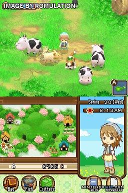 Harvest Moon - The Tale of Two Towns for NDS screenshot