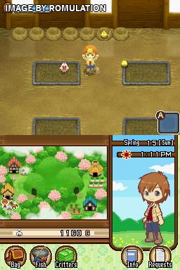 Harvest Moon - The Tale of Two Towns for NDS screenshot