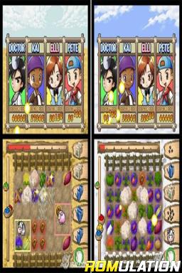 Puzzle de Harvest Moon for NDS screenshot