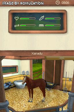 2 in 1 - My Pet School + Best Friends - My Horse for NDS screenshot