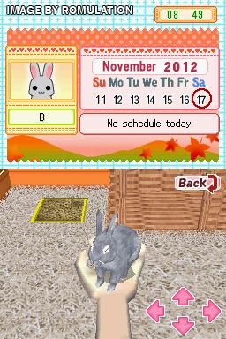 Bunnyz for NDS screenshot