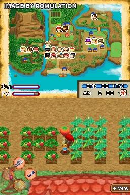 Harvest Moon DS - Island of Happiness for NDS screenshot