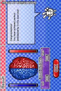 Left Brain, Right Brain 2 for NDS screenshot