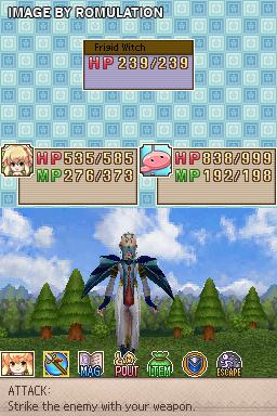 My World, My Way for NDS screenshot