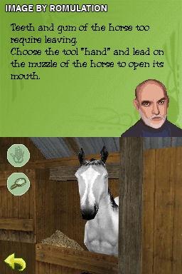 Petz - My Horse Family for NDS screenshot