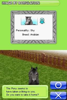 Petz - My Horse Family for NDS screenshot