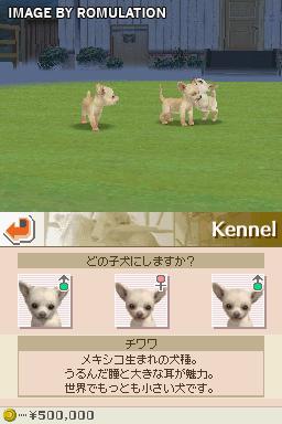 Nintendogs - Chihuahua & Friends for NDS screenshot