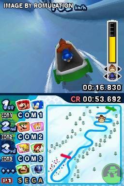 Mario & Sonic at the Olympic Winter Games for NDS screenshot
