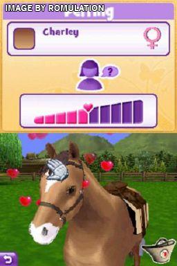 Pony Friends 2 for NDS screenshot