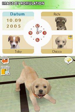 Nintendogs - Dalmatian & Friends for NDS screenshot