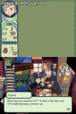 Final Fantasy - The 4 Heroes of Light for NDS screenshot