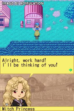 Harvest Moon DS for NDS screenshot