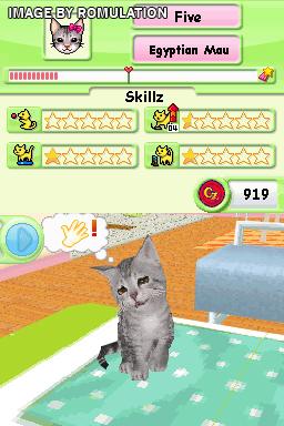 Catz for NDS screenshot