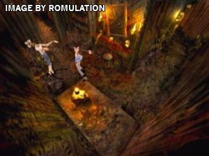 Lion and the King 2 for PSX screenshot