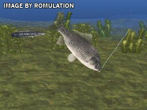 Fish Eyes II for PSX screenshot