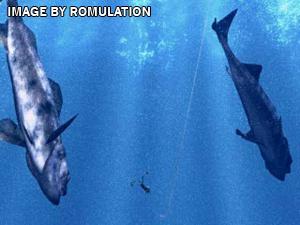 Fish Eyes II for PSX screenshot