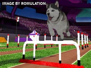 Petz Sports - Dog Playground for Wii screenshot